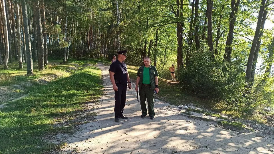 Фото: Комитет лесного хозяйства Московской области