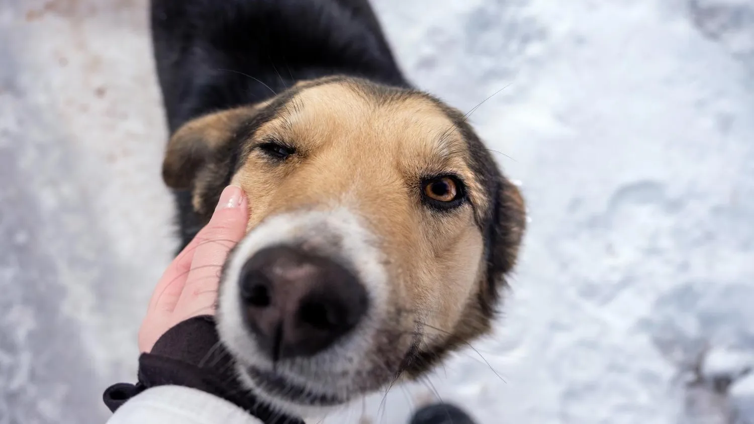 медиасток.рф