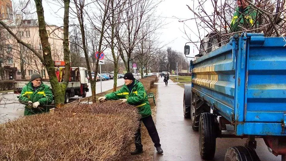 Фото: пресс-служба администрации городского округа Королев