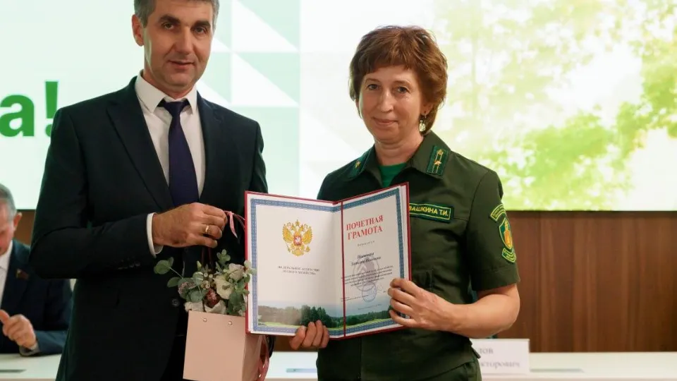 Фото: Комитет лесного хозяйства МО