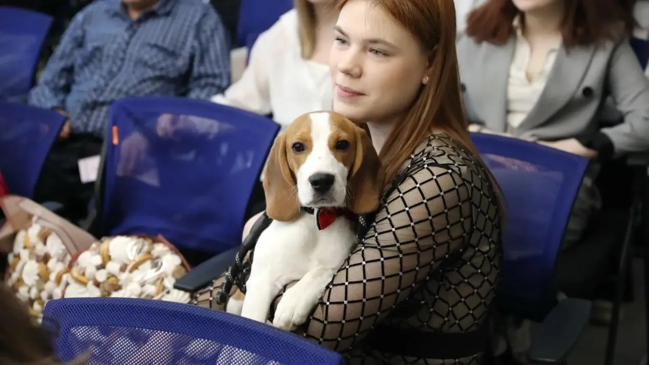 пресс-служба администрации г.о. Долгопрудный