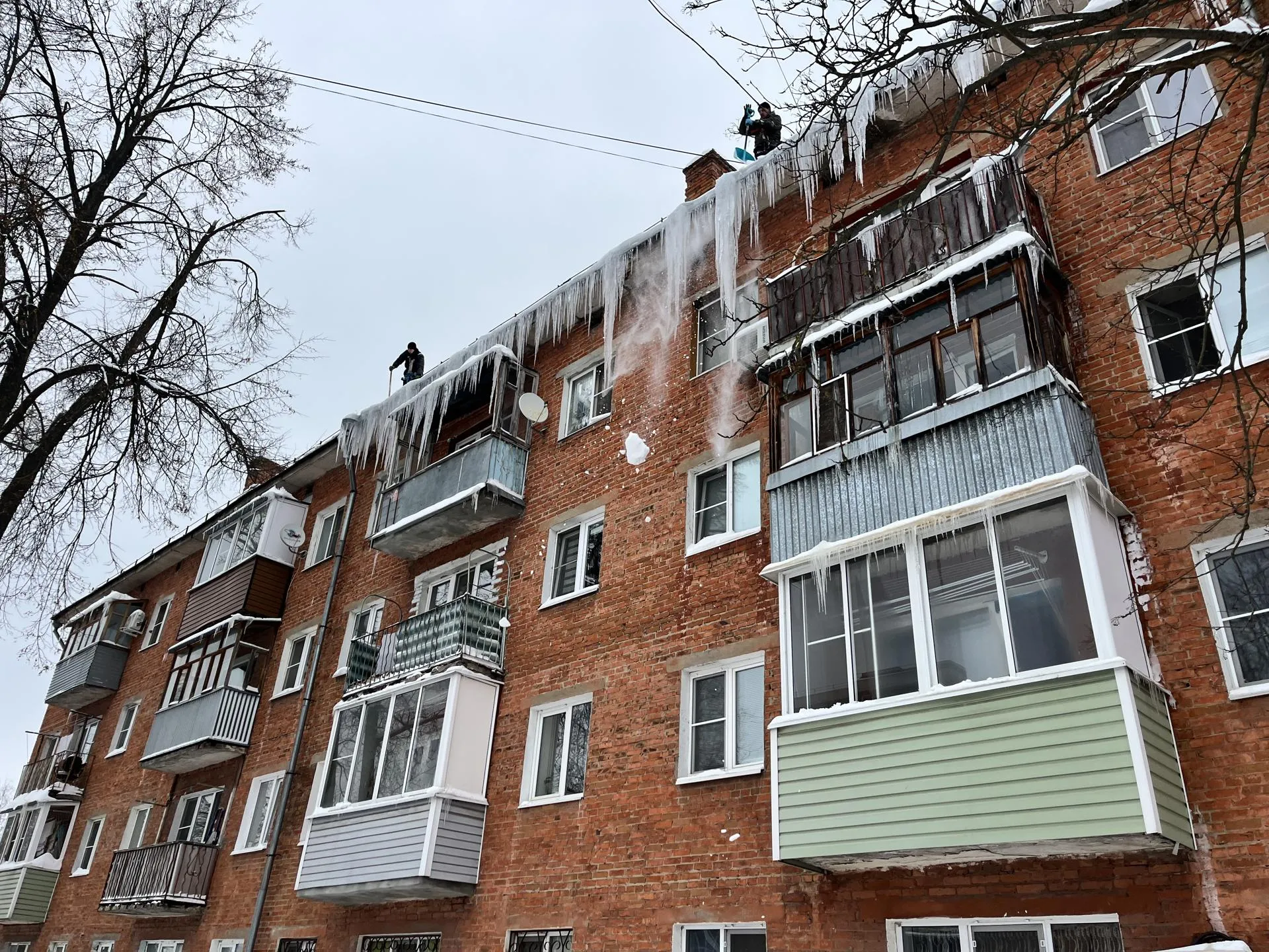 Фото: МедиаБанк Подмосковья/Ангелина Стельмух