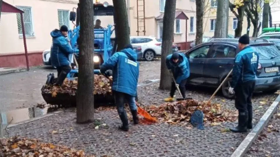 Фото: t.me/podolskadm