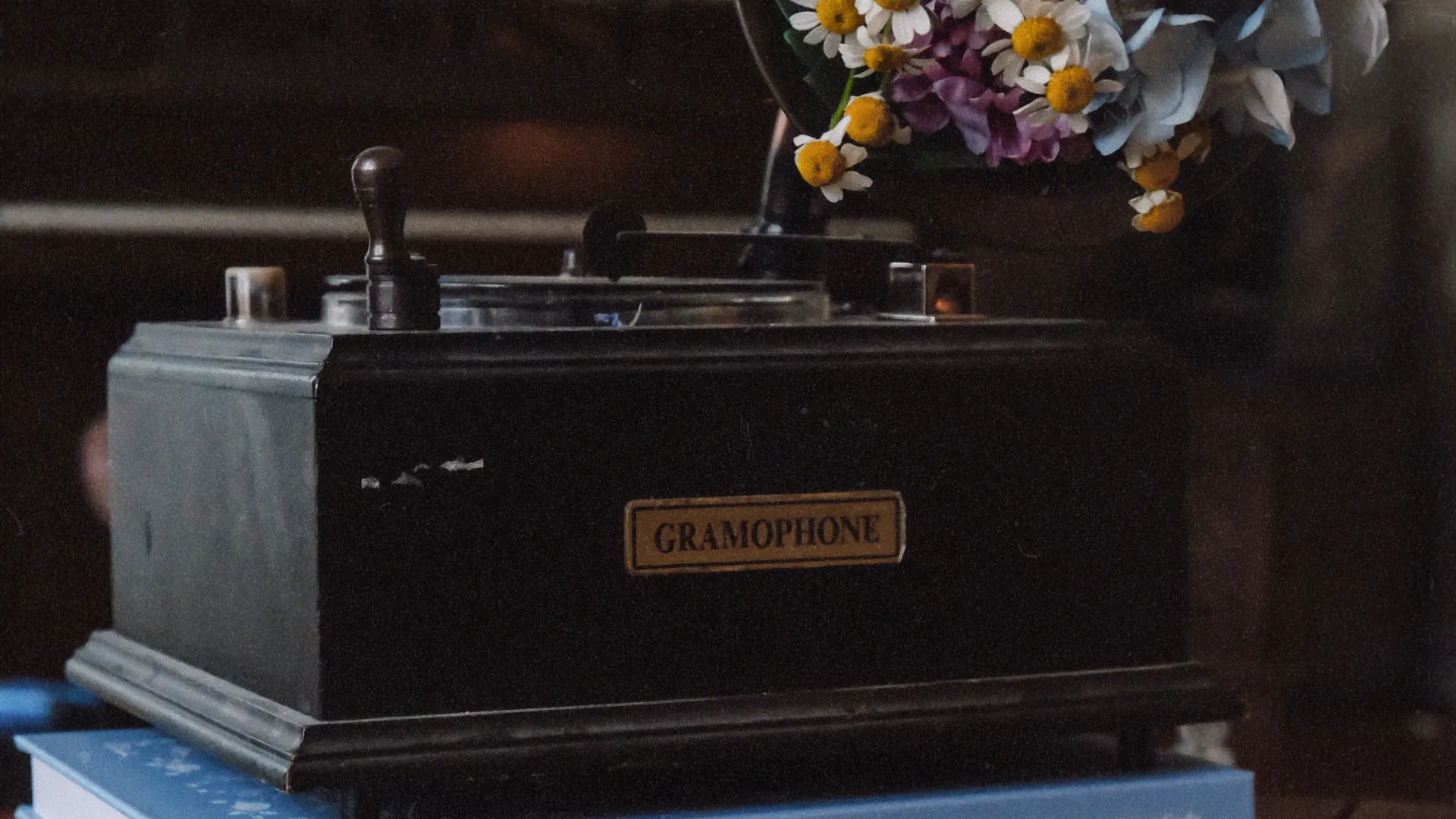 Фото: unsplash.com