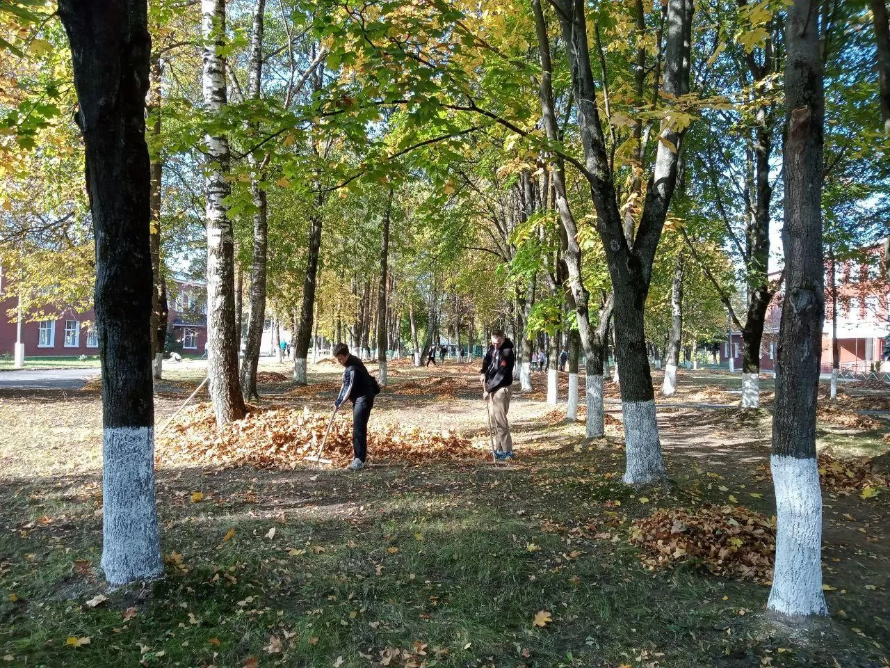 Фото: Министерство образования МО