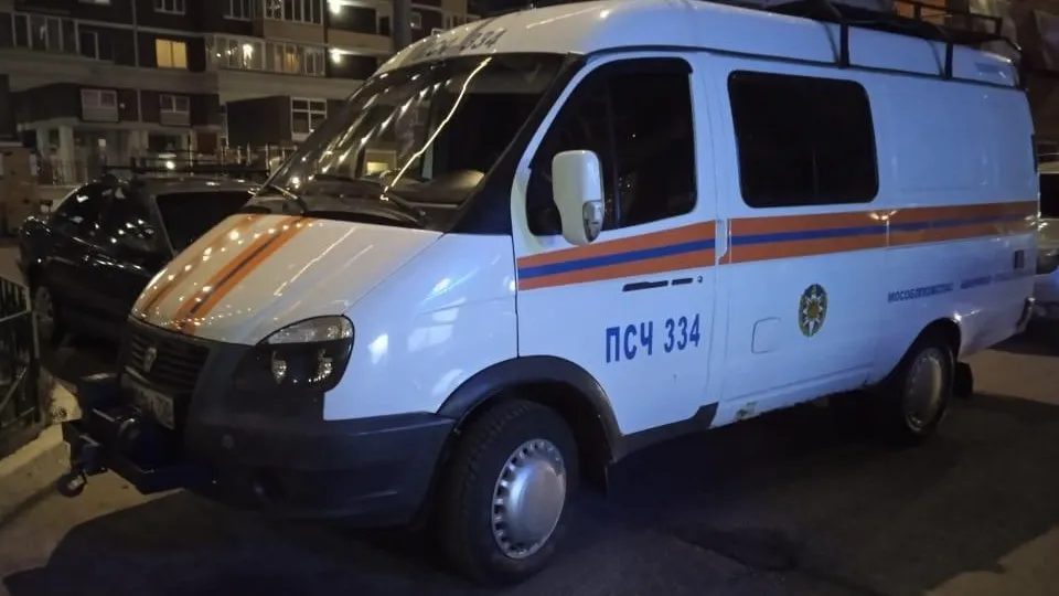 Фото: ГКУ МО «Мособлпожспас»