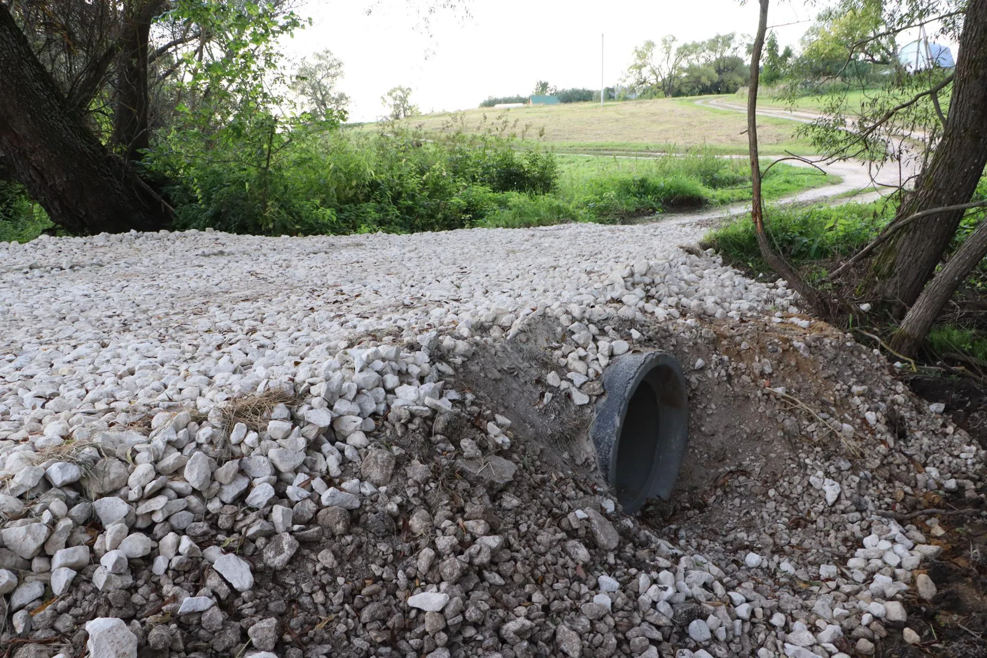 Ирина Матвеева