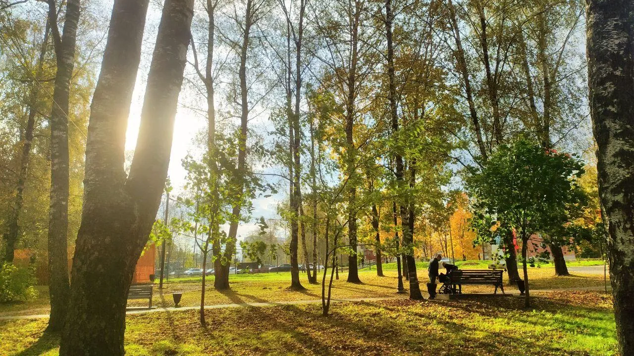Фото: Министерство благоустройства Московской области