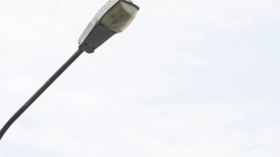 Фото: REGIONS/Наталия Надточая