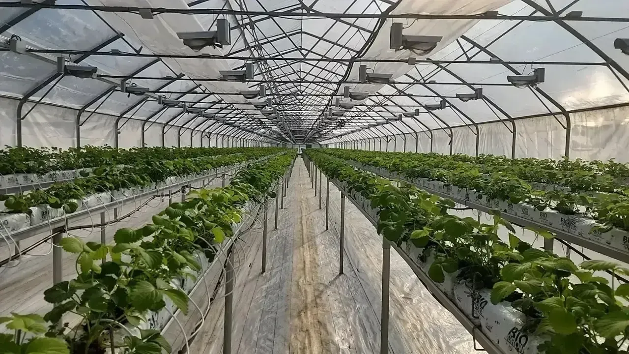 пресс-служба администрации Наро-Фоминского г.о