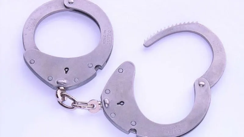 Задержаны подозреваемые в повреждении автобусов компании «Ранд-транс» в Подмосковье