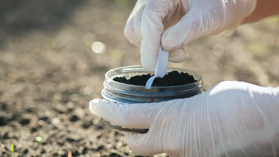 Фото: istockphoto.com/HappyNati