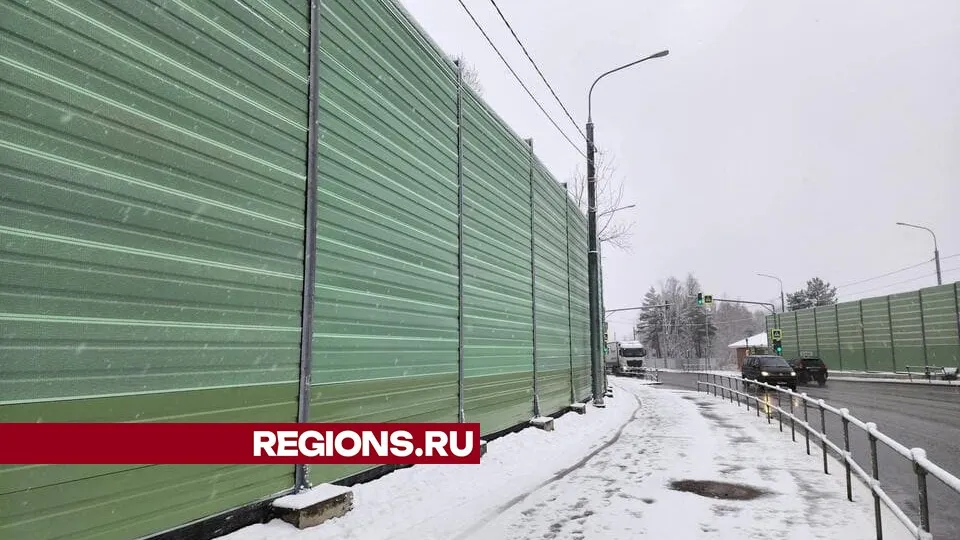 Фото: Никита Сморкалов