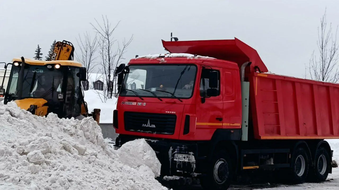 REGIONS/Наталья Пичугина