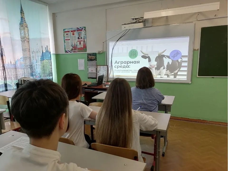 Фото:&nbsp;МБОУ «Емельяновская СОШ»