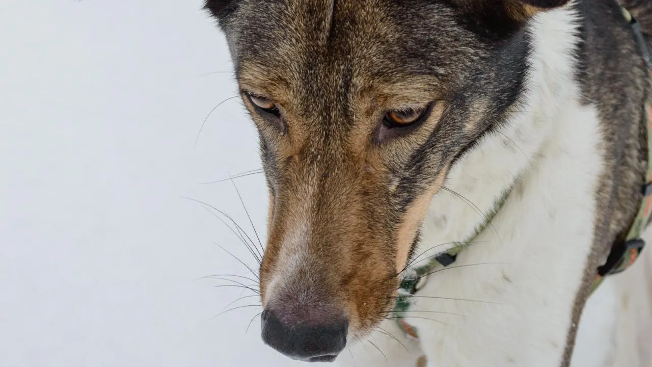 istockphoto.com/Martins Vanags