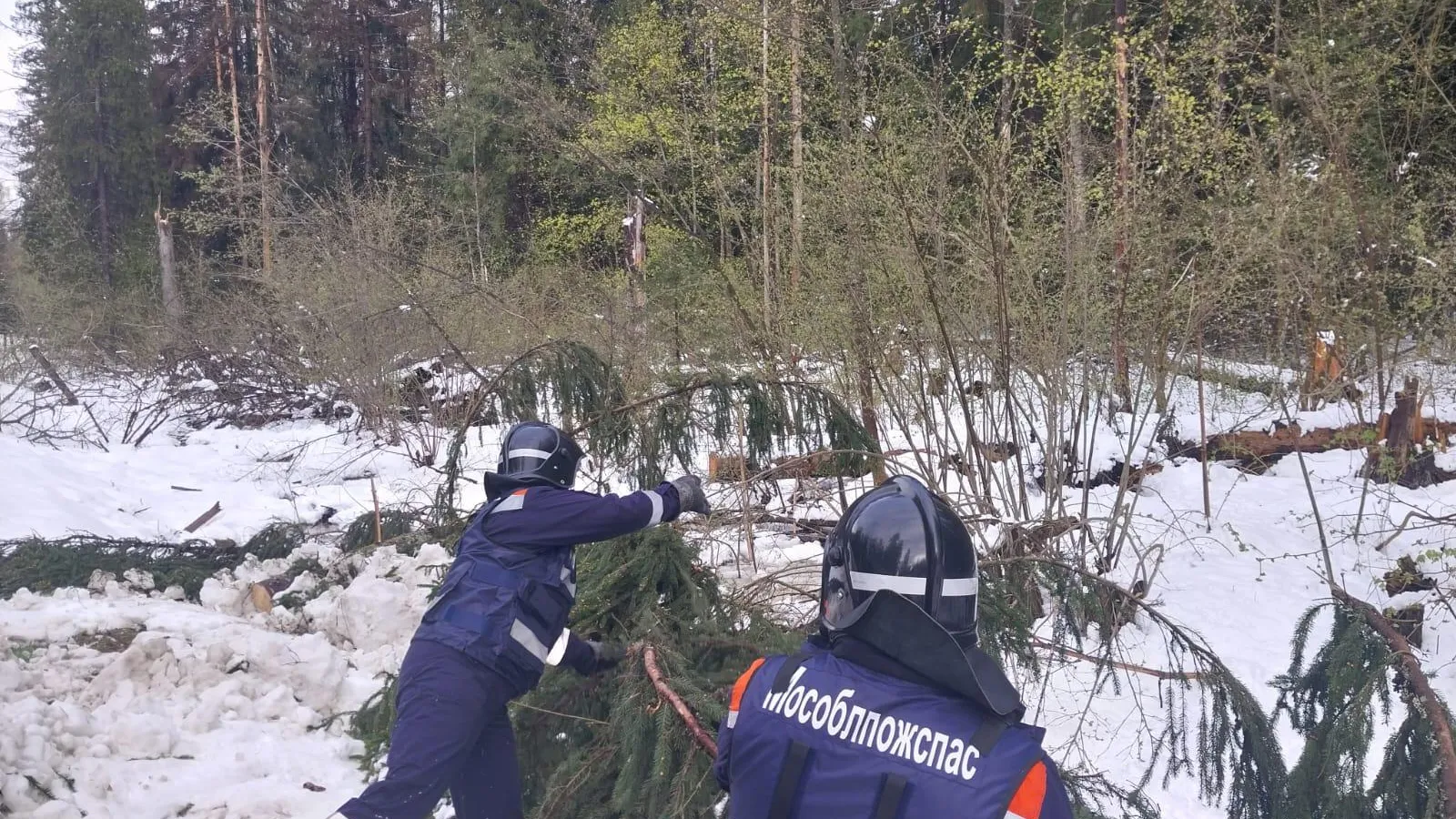 Фото: ГКУ МО «Мособлпожспас»