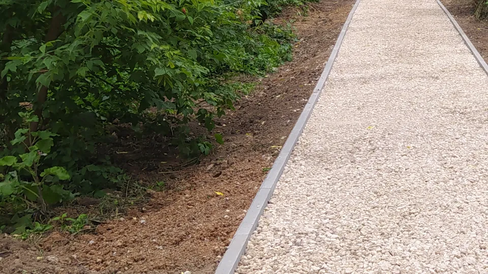 Фото: МедиаБанк Подмосковья/Владимир Киселев