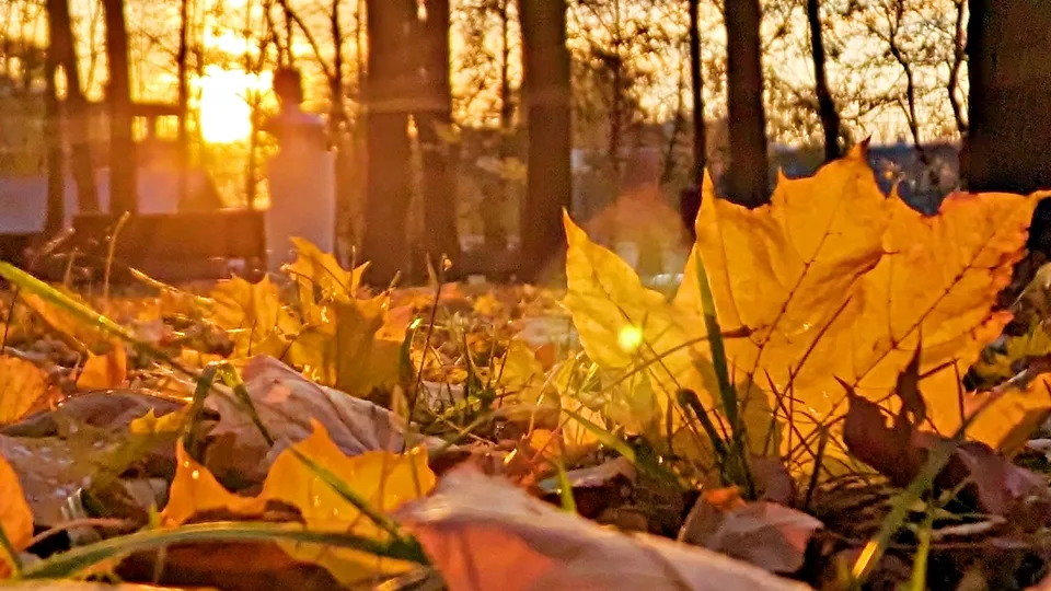 Фото: REGIONS/Алексей Селиверстов