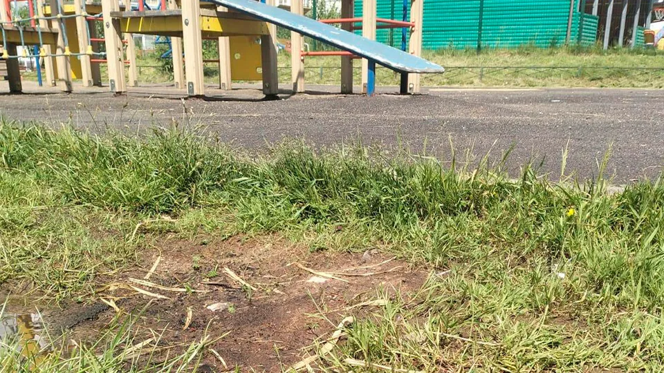 Фото: Министерство по содержанию территорий и государственному жилищному надзору Московской области