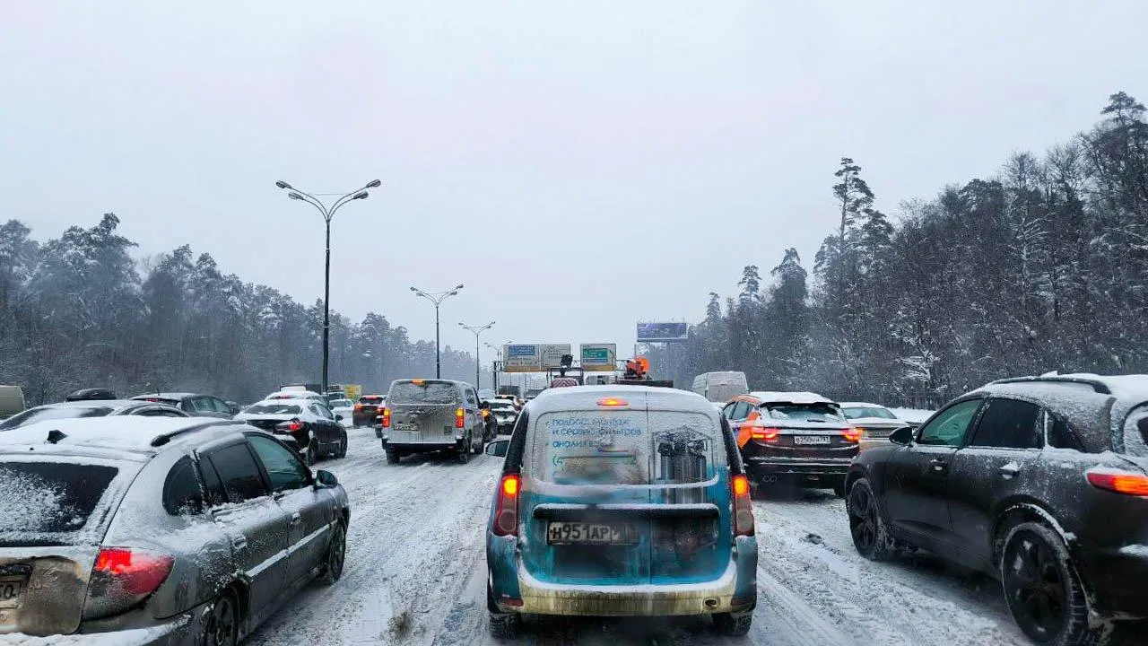 REGIONS/Роман Малышенко