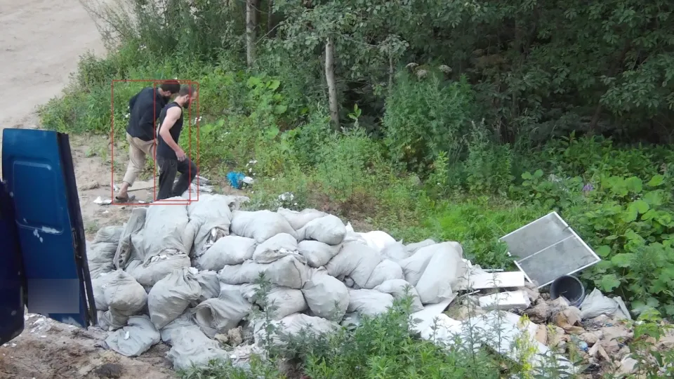 Фото: Комитет лесного хозяйства Московской области