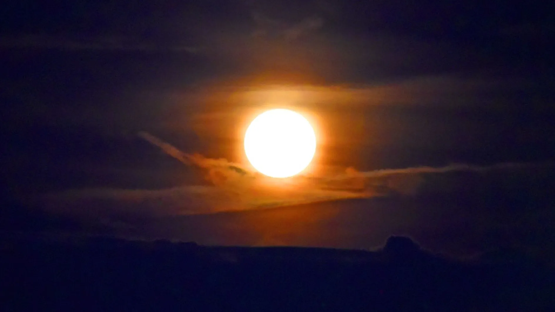 Фото: МедиаБанк Подмосковья/Галина Добрынина