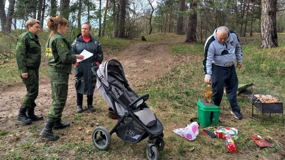 Фото: Комитет лесного хозяйства Московской области