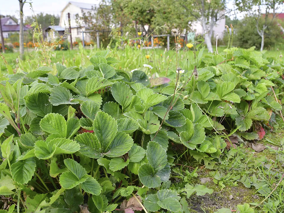 Фото: Наталья Бычкова