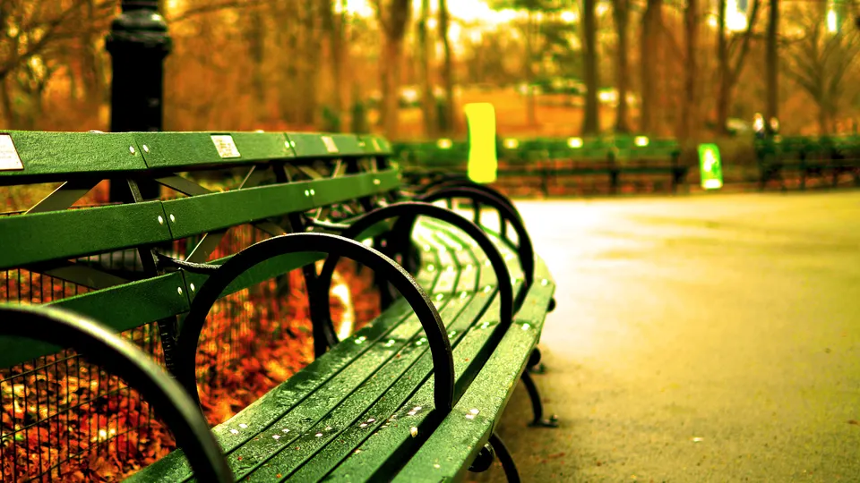 Фото: pxhere.com