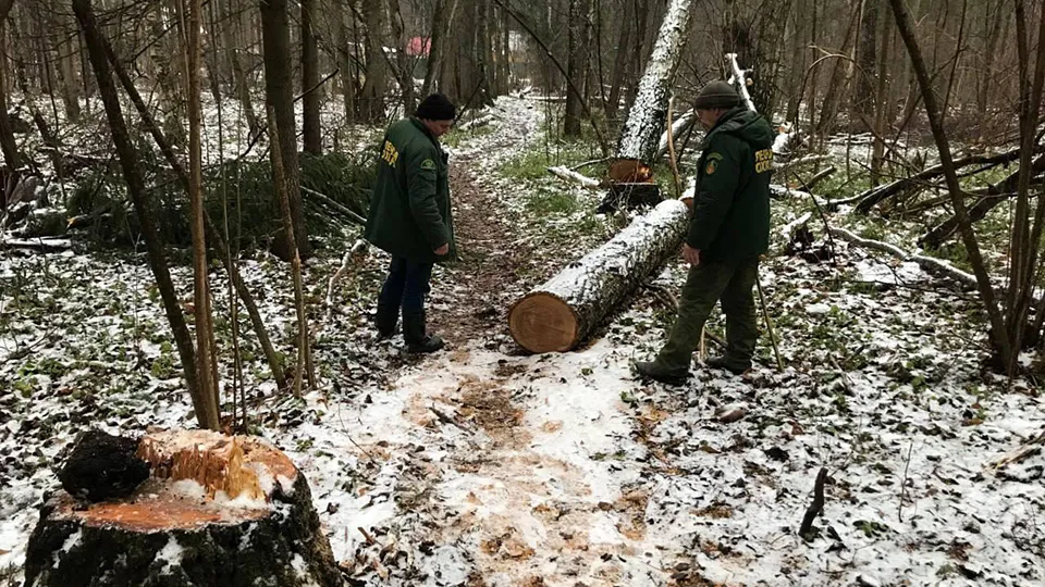 Фото: пресс-служба администрации м.о. Истра