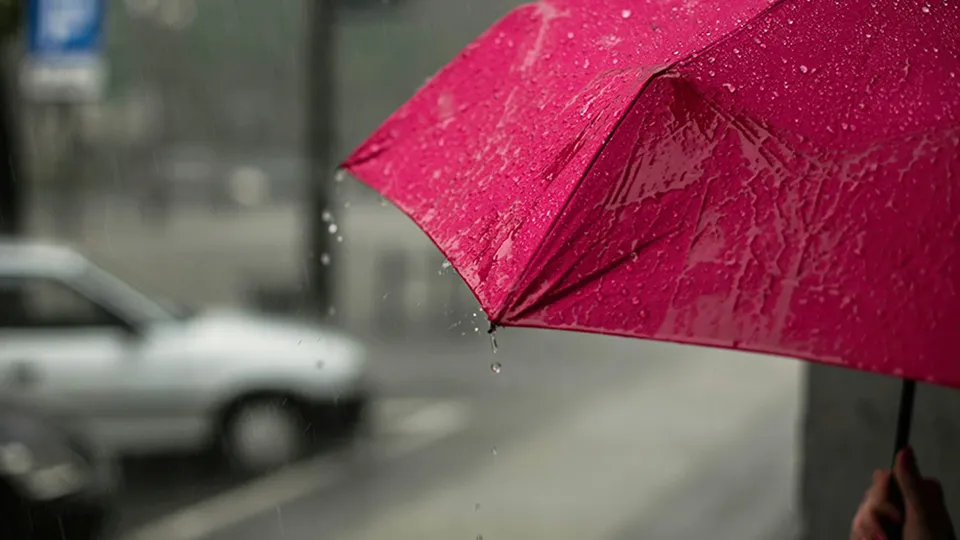 Фото: unsplash.com