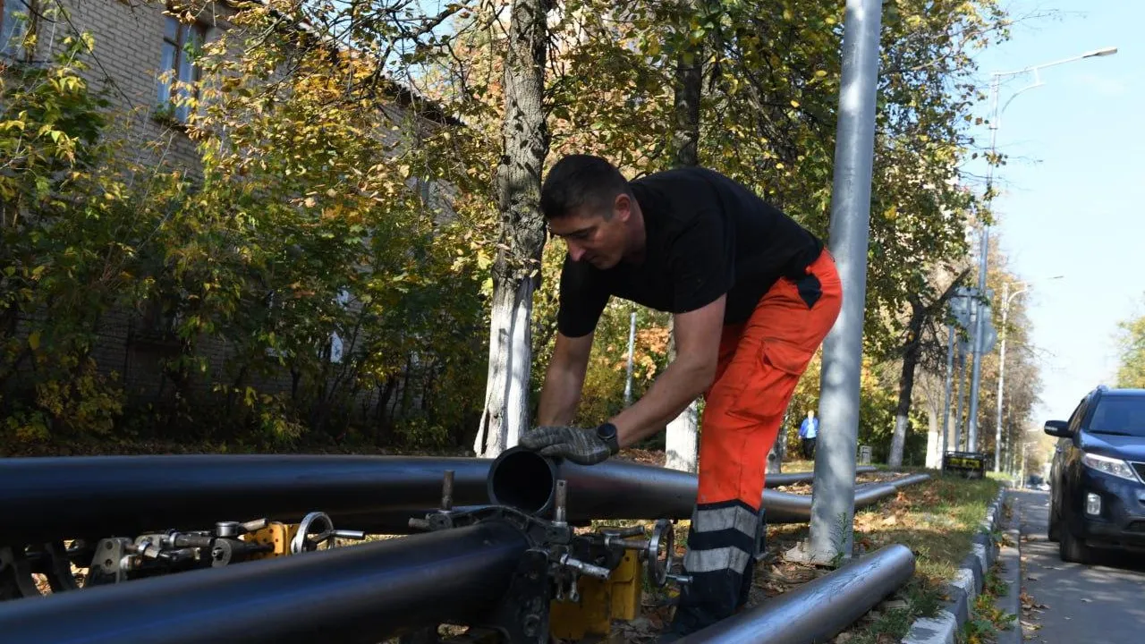 Фото: Александр Щербаков