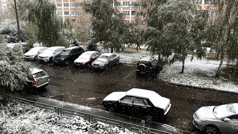 Фото: REGIONS/Светлана Стофорандова