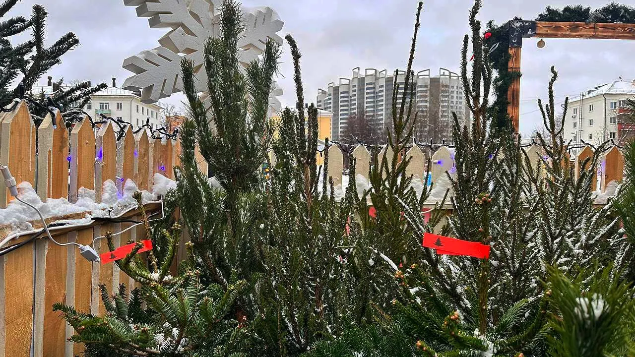 пресс-служба администрации городского округа Королев