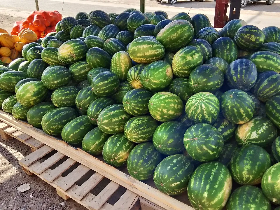 &nbsp; Фото: istockphoto.com