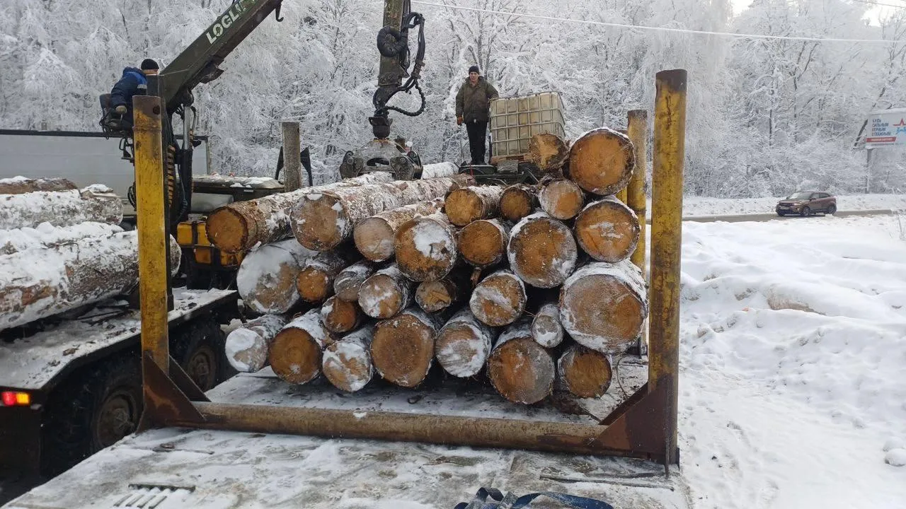 Евгения Веретенникова