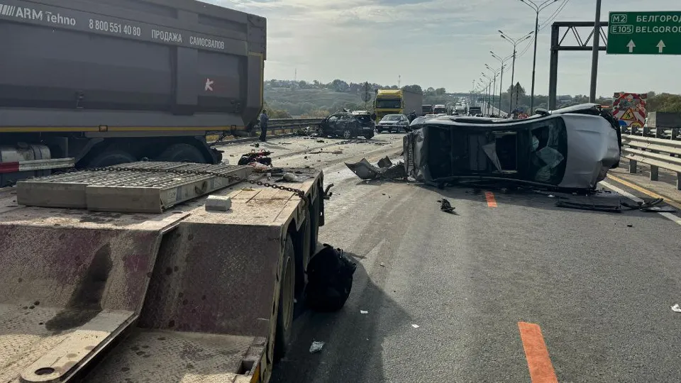 Фото: пресс-служба прокуратуры Московской области