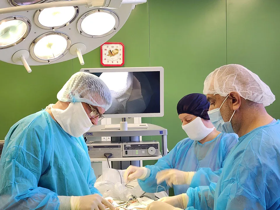 Фото: Оксана Лапшина