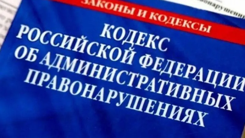 Минэкологии потребовало убрать незаконные свалки на садовых участках в Чехове и Домодедове