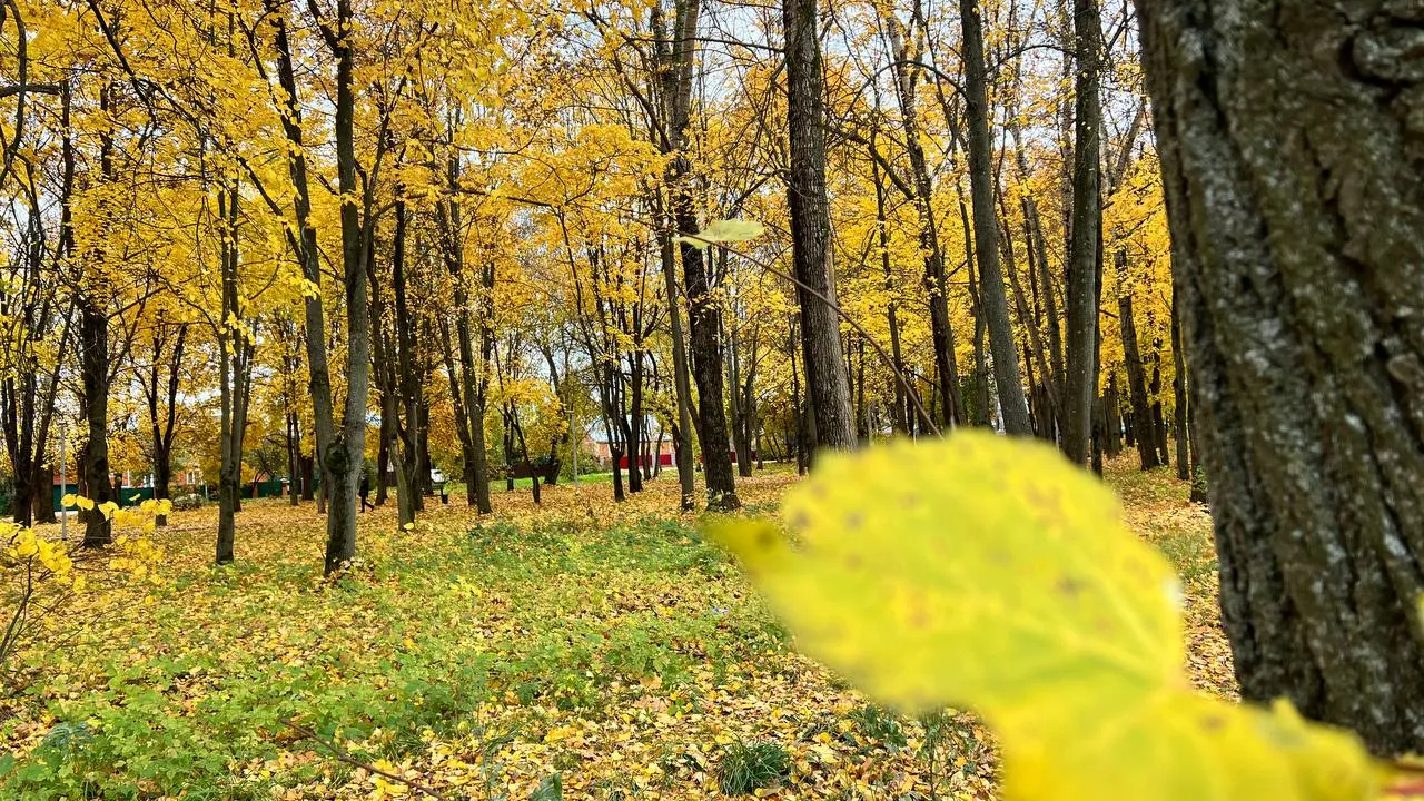 Фото: REGIONS/Елена Фурман
