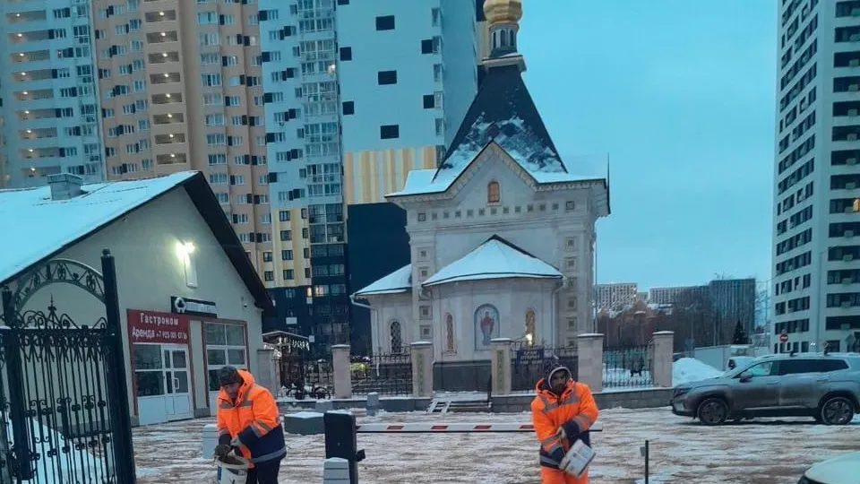 Фото: пресс-служба администрации г.о. Долгопрудный