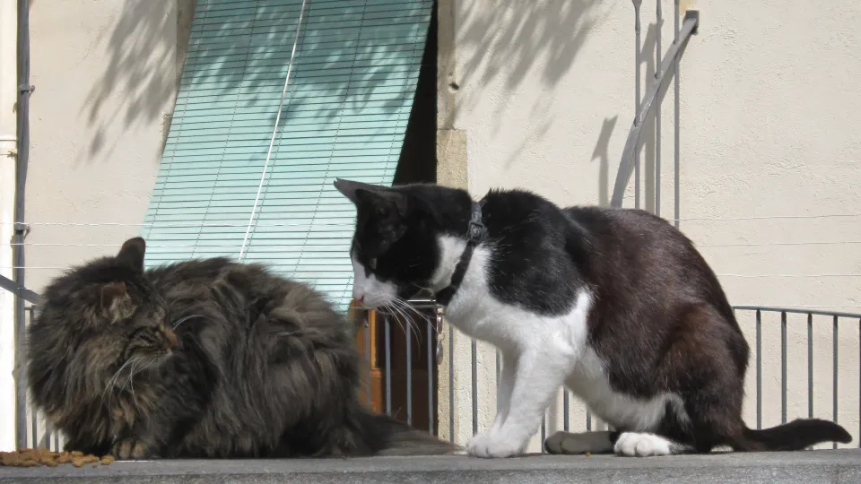 Фото: REGIONS/Олег Книжник