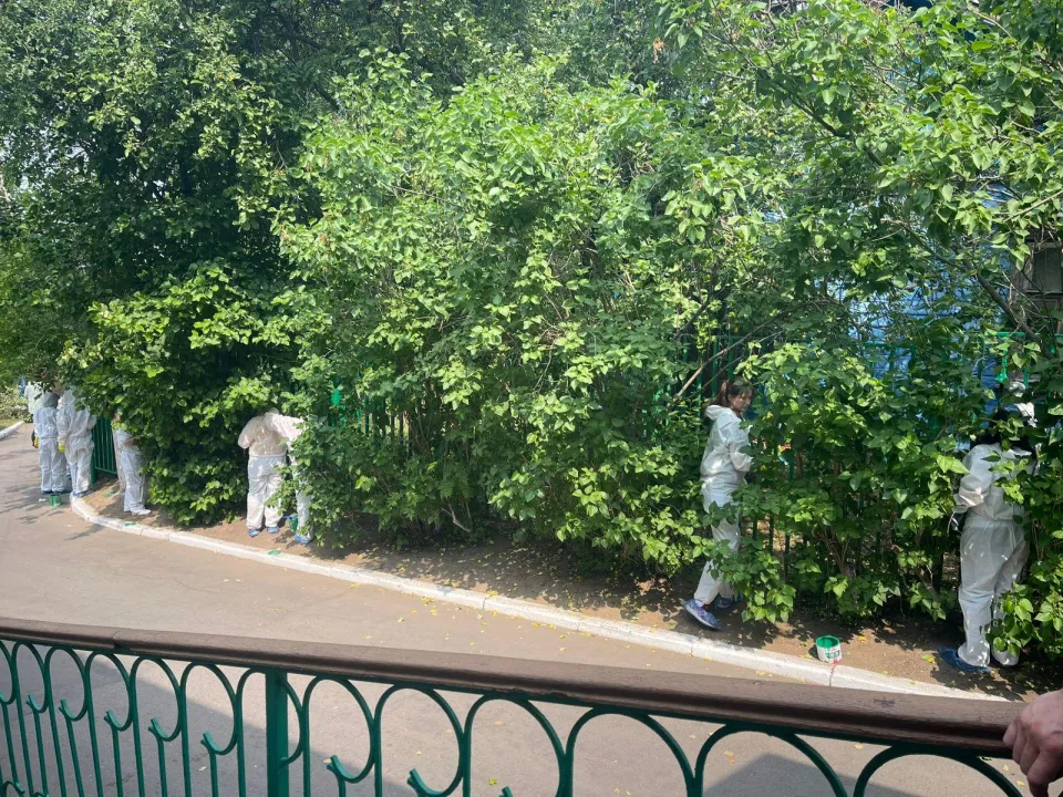 Фото: Министерство социального развития Московской области