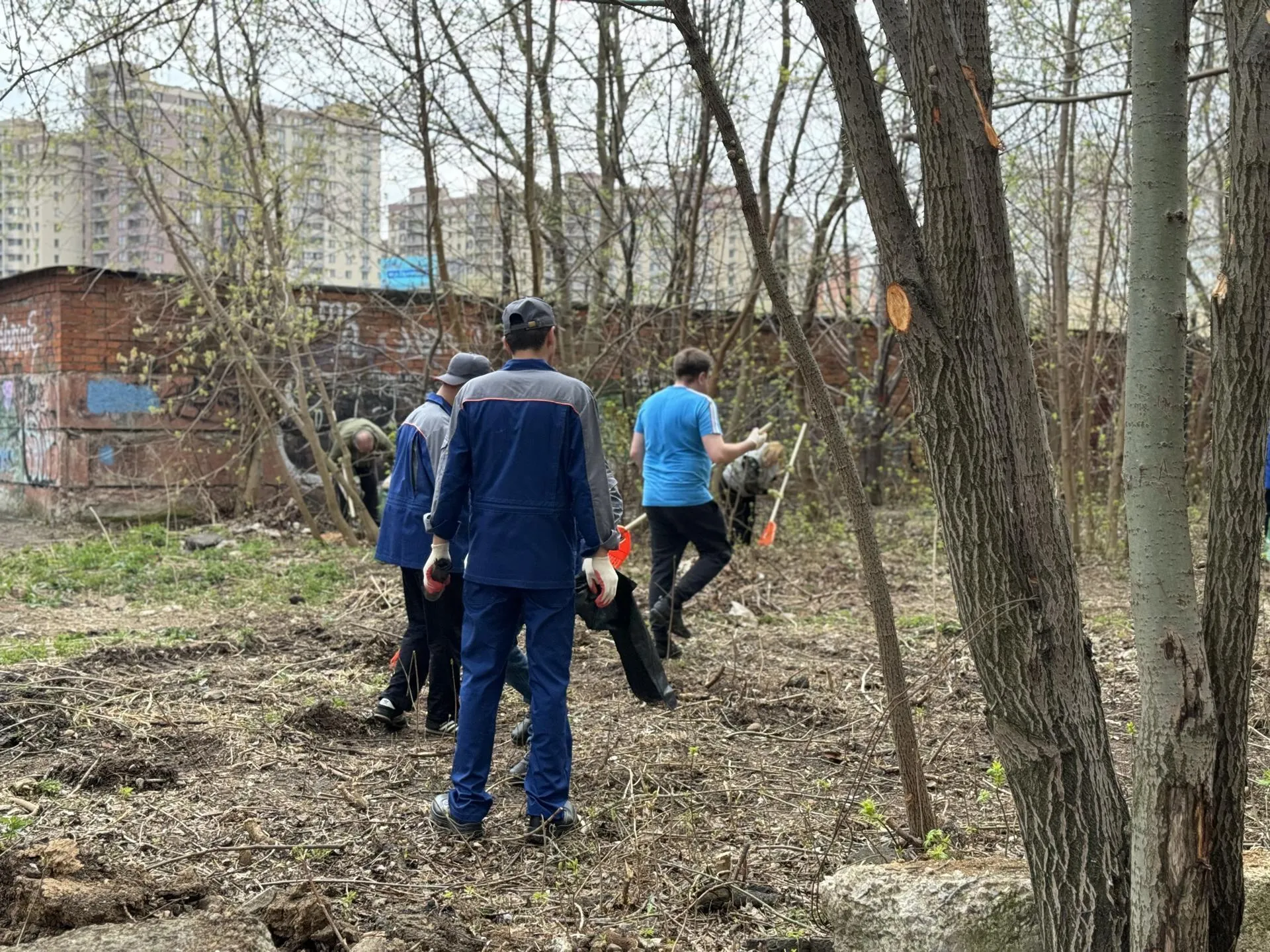 Полина Абраменко
