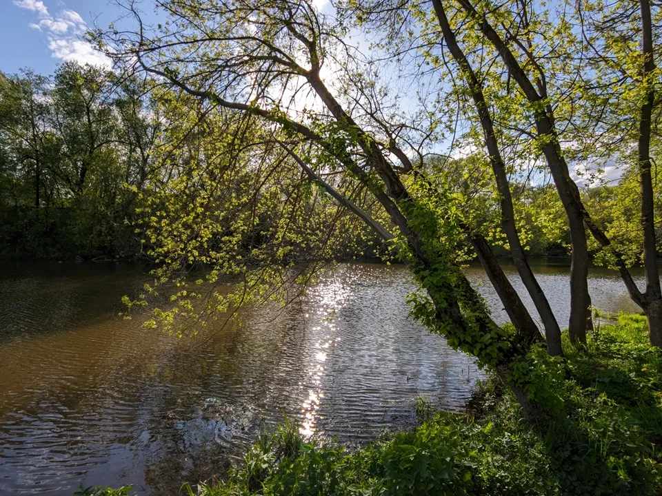 Фото: REGIONS/Алексей Селиверстов