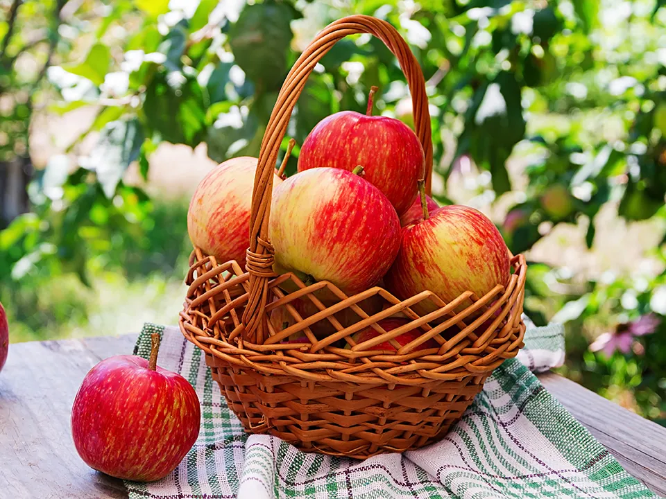 Фото: freepik.com