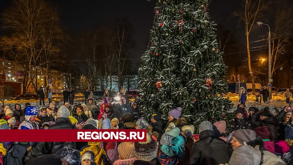 Фото: МедиаБанк Подмосковья/Данила Кирьянов