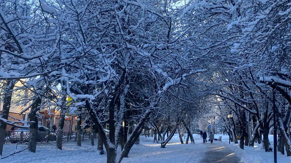 Фото: Дарья Орнадская