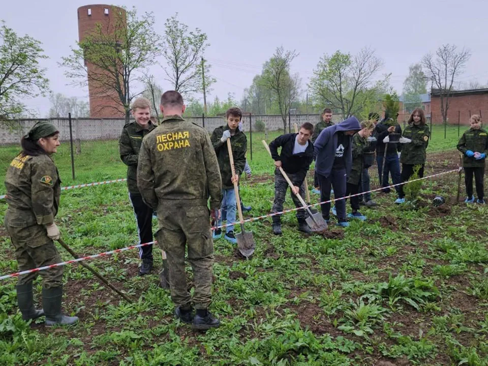 Фото: комитет лесного хозяйства Московской области